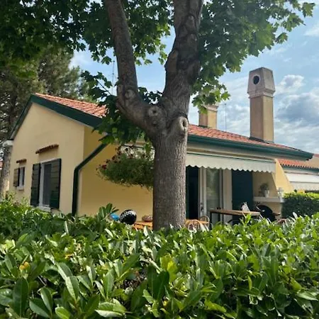 Villaggio Michelangelo Бибионе